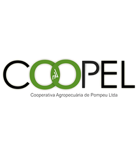 Cabinet Faure Informatique - Partenaire et client : COOPEL